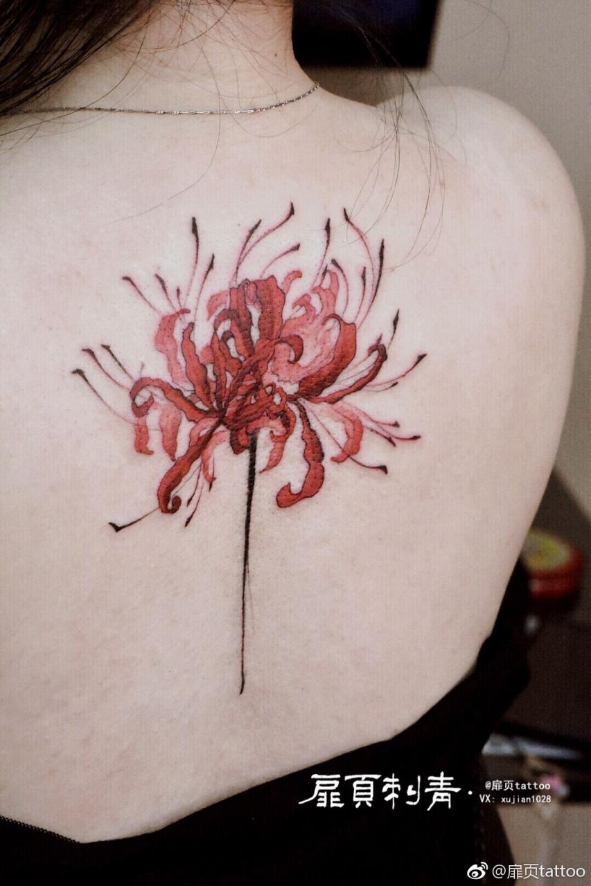 Hoa bỉ ngạn xinh đẹp ở phía sau lưng