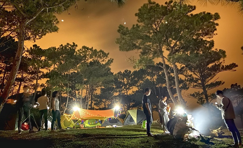 Cắm trại trên đồi Đa Phú Đà Lạt vào buổi tối