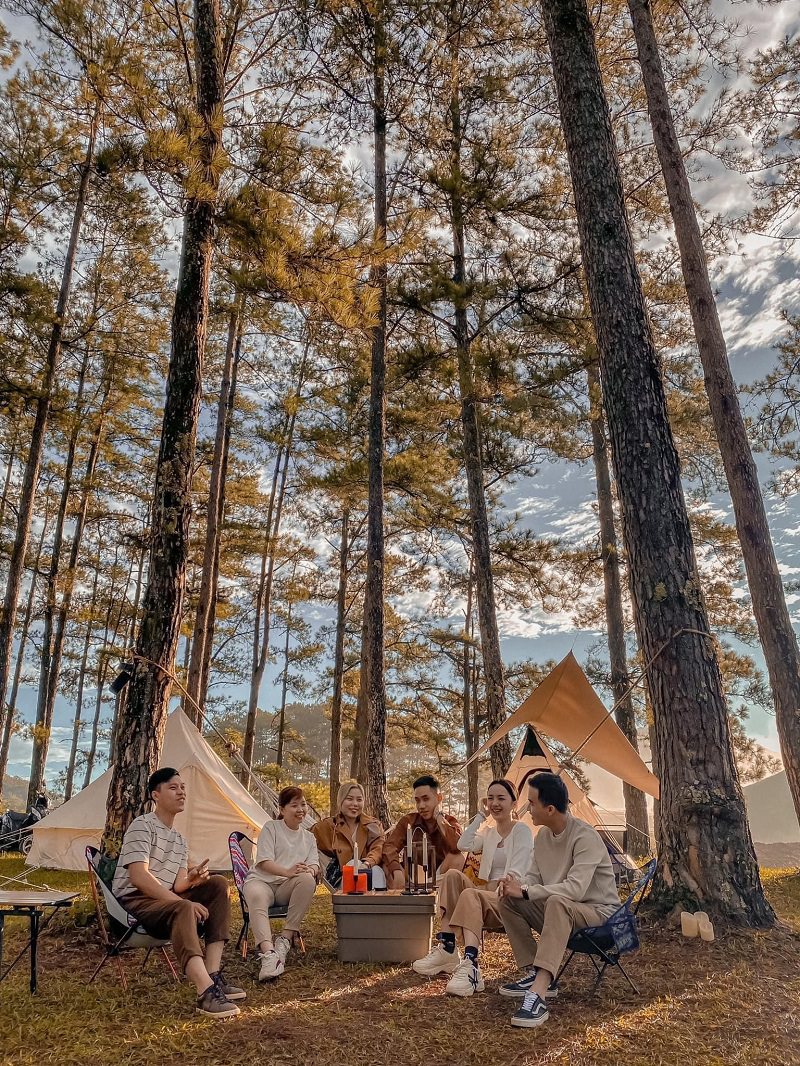 6 người đang ngồi trò chuyện trong khu cắm trại từng thông đà lạt