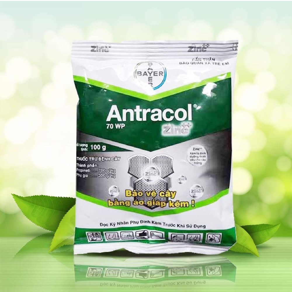 Thuốc trừ nấm bệnh hại cây trồng ANTRACOL - 100gram - Nông nghiệp đô thị